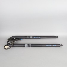 2011-2015 BMW X3 Hatch Lift Support Strut Pair 51247232003 OEM Used