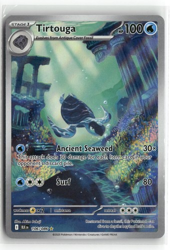 Holofoil Tirtouga 106/086 NM SV: Black Bolt