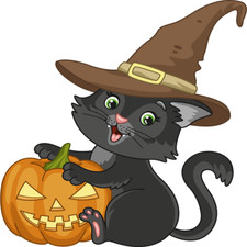 30 Custom Halloween Witch Cat Personalized Address Labels