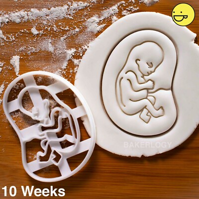 10 Wochen Fetale Entwicklung Ausstecher | Schwangerschaftsankündigung Baby Schwanger
