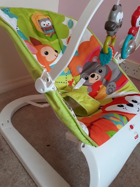 fisher price playtime bouncer