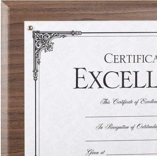 Burnes Home Accents Award Plaque with Acrylic Cover Fits 11 x 8.5" Document - Picture 3 of 4
