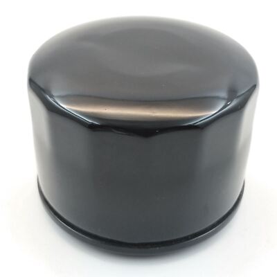 Filtro Aria Motore Briggs&Stratton A 2 Cilindri E Valvole Laterali Orizzontali V Twin Vanguard Bs 394018s - Foto 5