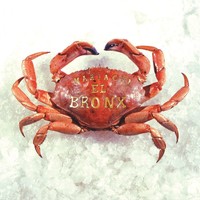 Mariachi El Bronx (i) By Mariachi El Bronx (cd, Aug-2009, Swami Recordings) Mariachi El Bronx (i) By Mariachi El Bronx (cd, Aug-2009, Swami Recordings)