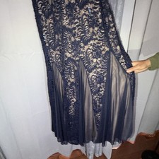 Alex Evenings Size 12 Navy/Beige Lace Sequin V-Neck Sleeveless Long Gown