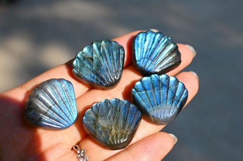 1.1" Natural Labradorite carved shell Reiki Crystal ornament Heal decor Gift 1pc - Picture 5 of 10
