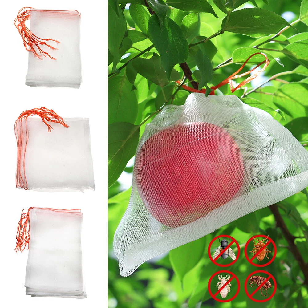 Netted 2025 drawstring bag