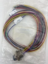 Turck BSF19-19-0.5/14.5/NPT (U2-03040) Cordset, .5m, 19 Pin, M16