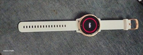 Garmin VENUS 2S SmartWatch