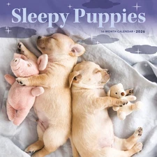 Carousel Calendars,  Sleepy Puppies 2026 Mini Wall Calendar, 7'' X 7'', 16-Month