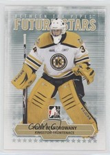 2009-10 ITG Between the Pipes Future Stars Tyler Beskorowany #75 8tn