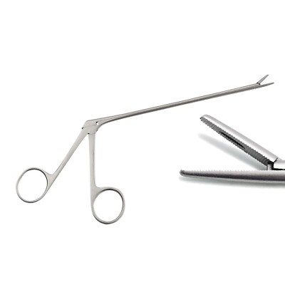 PRECISE CANADA 12'' Alligator Forceps Stainless Steel