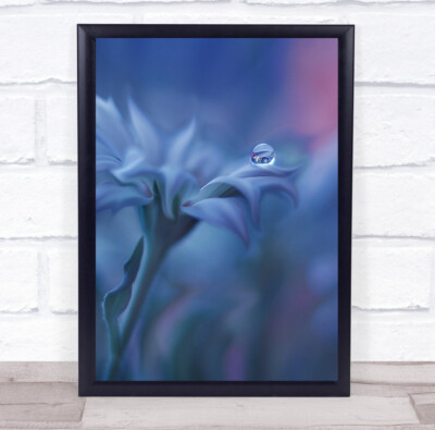 Bulgarien Perle Tropfen Wasser Blume Pastellfarben Garten Wandbild Kunstdruck