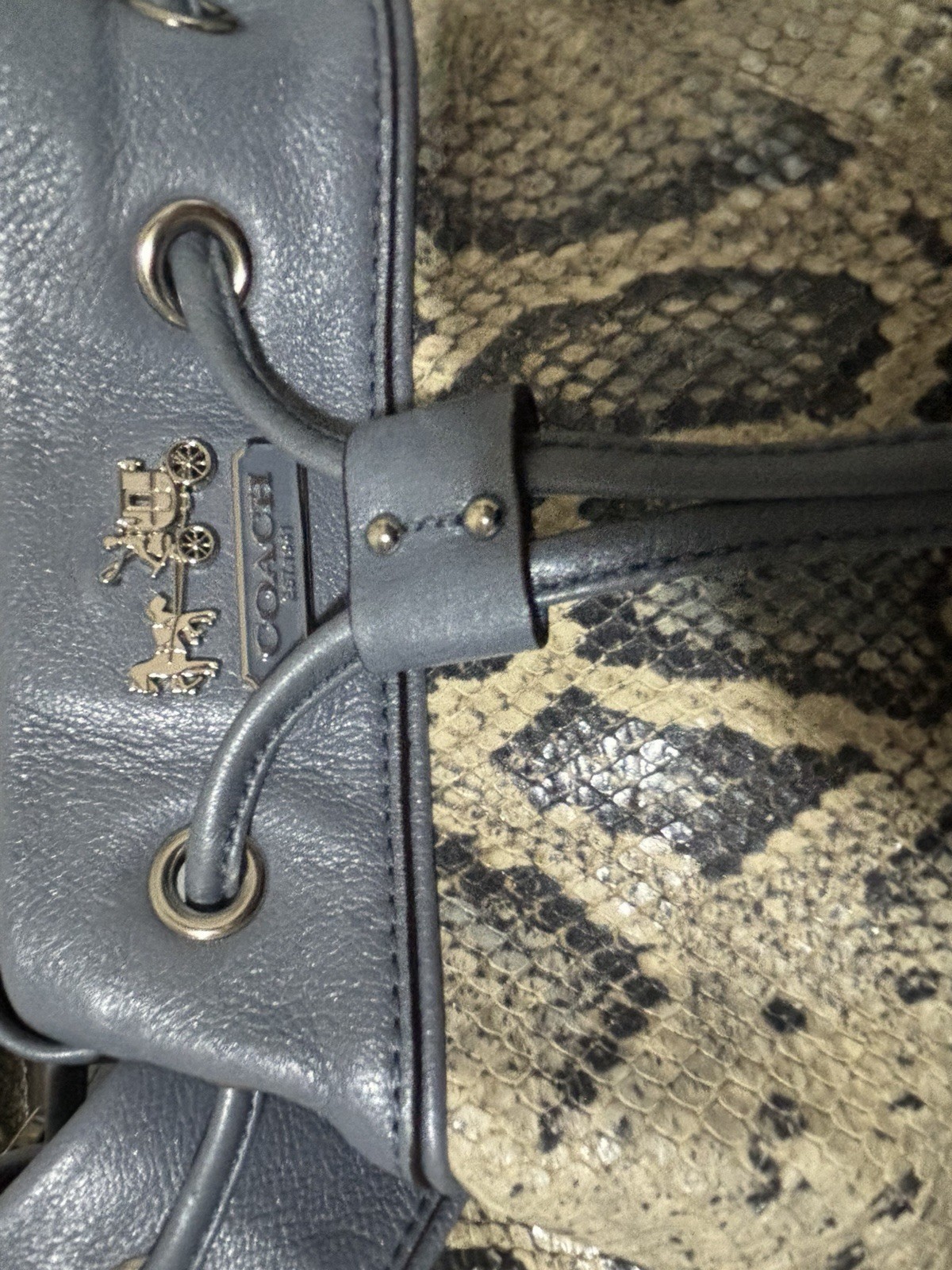 Coach Madison blue embossed python Marielle draws… - image 3