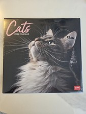 Calendario 2026 Della Legami Gatti Nuovo.