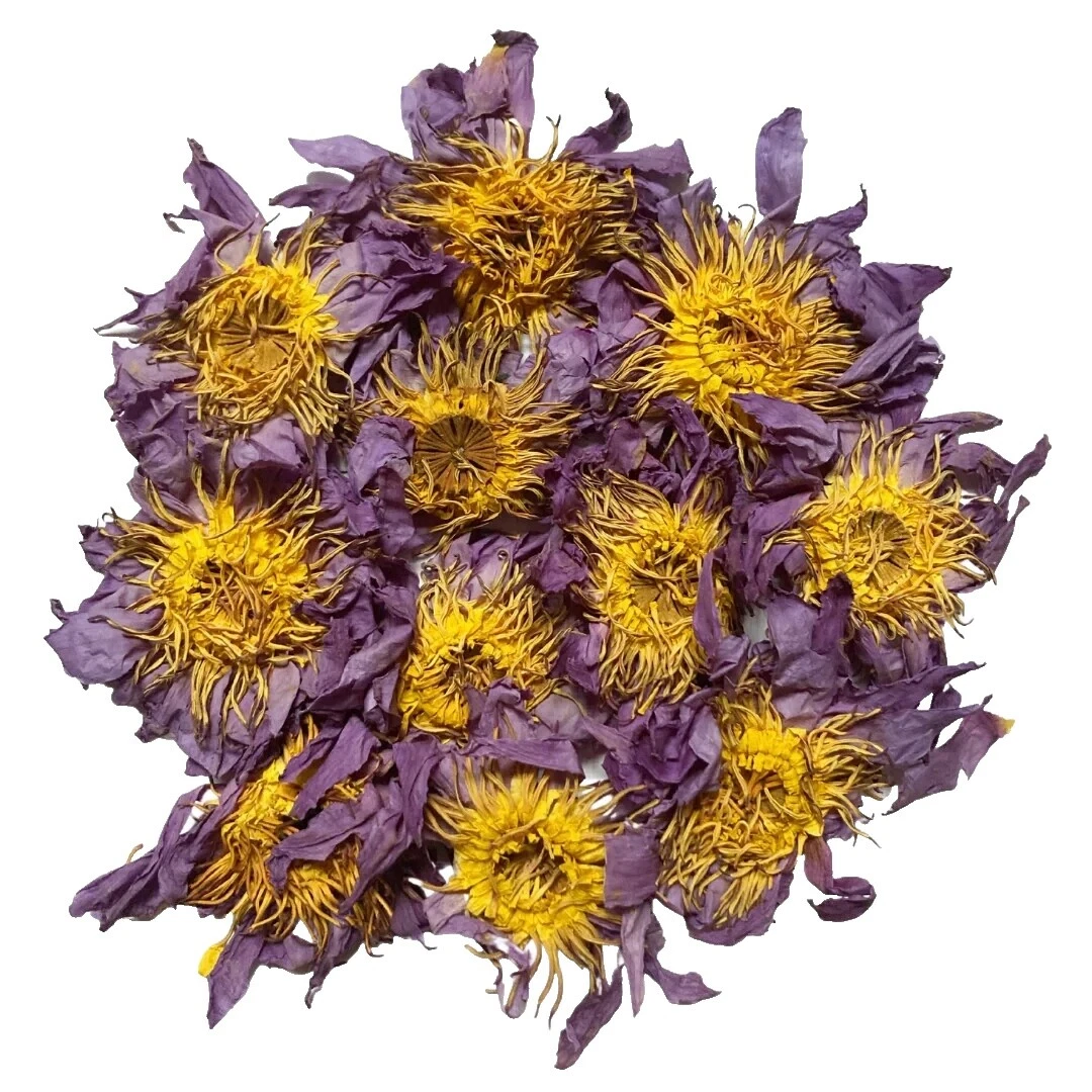 Lotus remedios naturales y alternativos