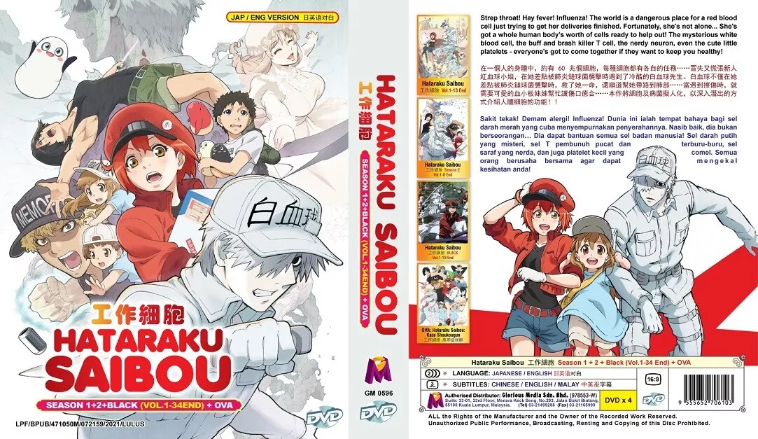 ENGLISH DUBBED Cells At Work: Hataraku Saibou SEASON 1&2 + BLACK (1-34 End)  +OVA