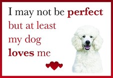 Funny My Dog Loves Me WHITE POODLE Dog Vinyl Car Van Sticker Pet Animal Lover 