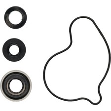 WATER PUMP REBUILD KIT Honda SXS1000M3 Pionee...