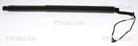 Triscan Gasfeder DäMpfer Heckklappe Passend FüR Skoda Superb II Kombi 3T5 3T4
