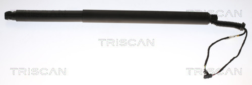 Triscan Gasfeder DäMpfer Heckklappe Passend FüR Skoda Superb II Kombi 3T5 3T4-image
