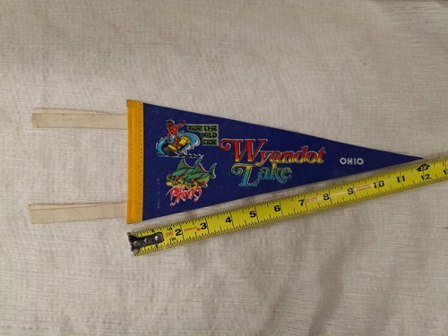 Wyandot Lake OHIO Ride the Wild Tide Blue Pennant Banner 12" Made in USA