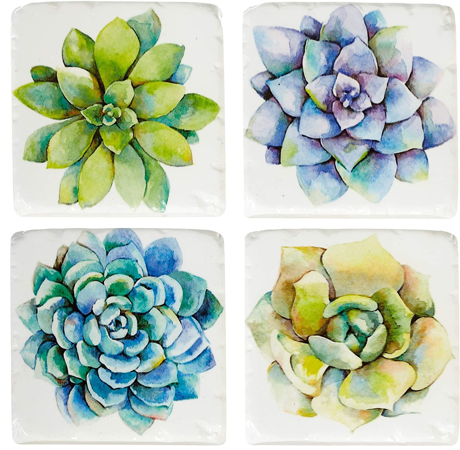 Midwest-CBK Succulent Plants Cactus Drink Coasters Set of 4 Resin 4090₽