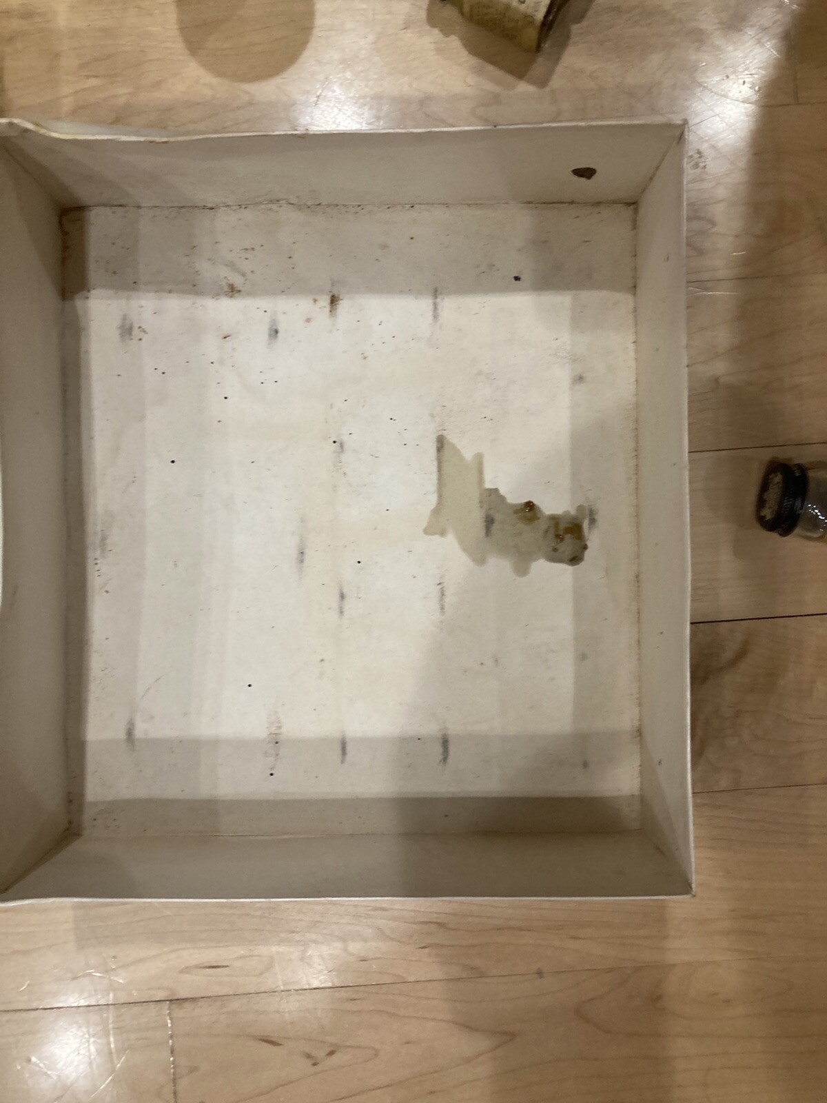 Vintage Herter’s Mallard Dull Duck Decoy Paint Kit Dried Display Box