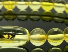 AMBER BRACELET Insect Gift Barrel Round Beads Baltic Insects Unisex 6,7g 13212