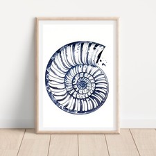 Coastal Shell Hamptons Seaside Gallery Wall Coral