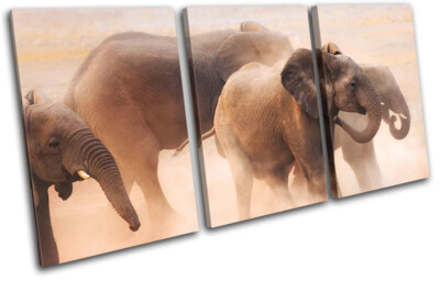 Baby Elephant Wild African Zoo Animals TREBLE Leinwand Kunst Bild drucken