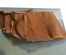 150 pieces Dried Banana Leaves 5 oz 120g -fish aquarium