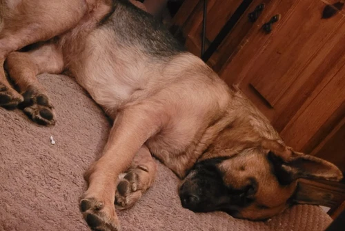 New ListingSpecial request for: now4377 Average Circulated Coins #919