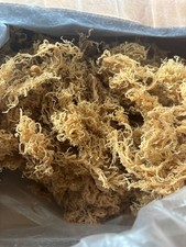 sea moss, St Lucia sea moss, raw sea moss, wildcrafted sea moss, Irish moss, dri