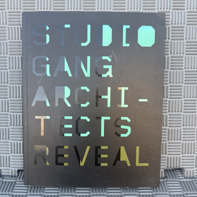Studio Gang Architects Reveal-Dan Simon-VG