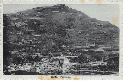 Italy - N°72667 - RORA - Panorama