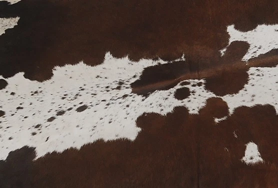 100% Original Kuhfell Teppich Bereich Skin Leder 15.65 Sq.feet (124cmx117cm) - Bild 2 von 3