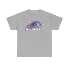 Boise Stallions Idaho Indoor Professional Football League 2001 T-shirt