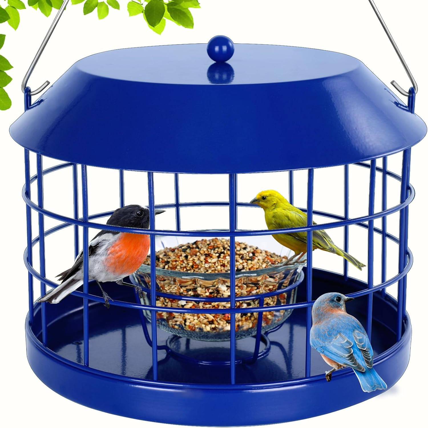 Caged Bluebird Feeder for Mealworms with Glass Bowl, Squirrel Proof Bird Feed...
