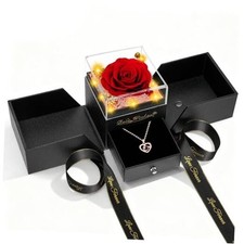 Valentines Day Rose Gifts for Her Women Mom Red with Necklace and Light