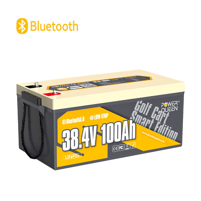 36V 100Ah LiFePO4 Battery Bluetooth for 36V/72V Outboard Motor Marine Golf Cart