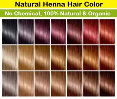 Allin Original Henna Hair Dye Color Organic