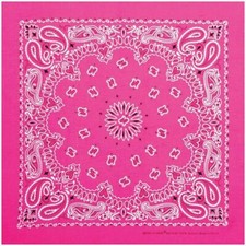 Carolina Creative Bandanna PINK Paisley Print 22" x 22"