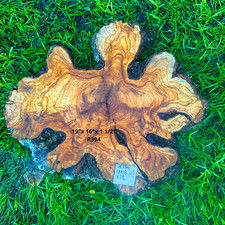Olive Wood Slices for crafting and live edge woodworking