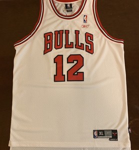kirk hinrich jersey