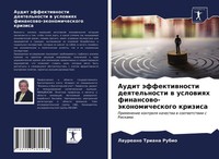Audit äFfektiwnosti Deqtel'nosti W Uslowiqh Finansowo-äKonomicheskogo Krizisa