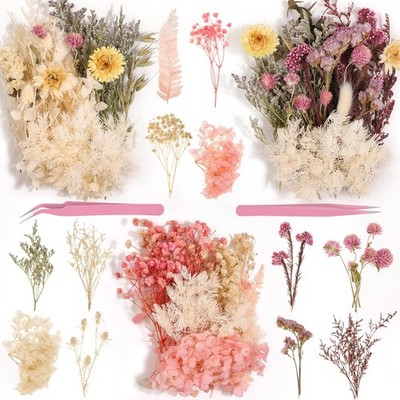 Real Dried Flowers 100% Natural Dried Flowers, Mixed Colors Dried Leaf Flower...