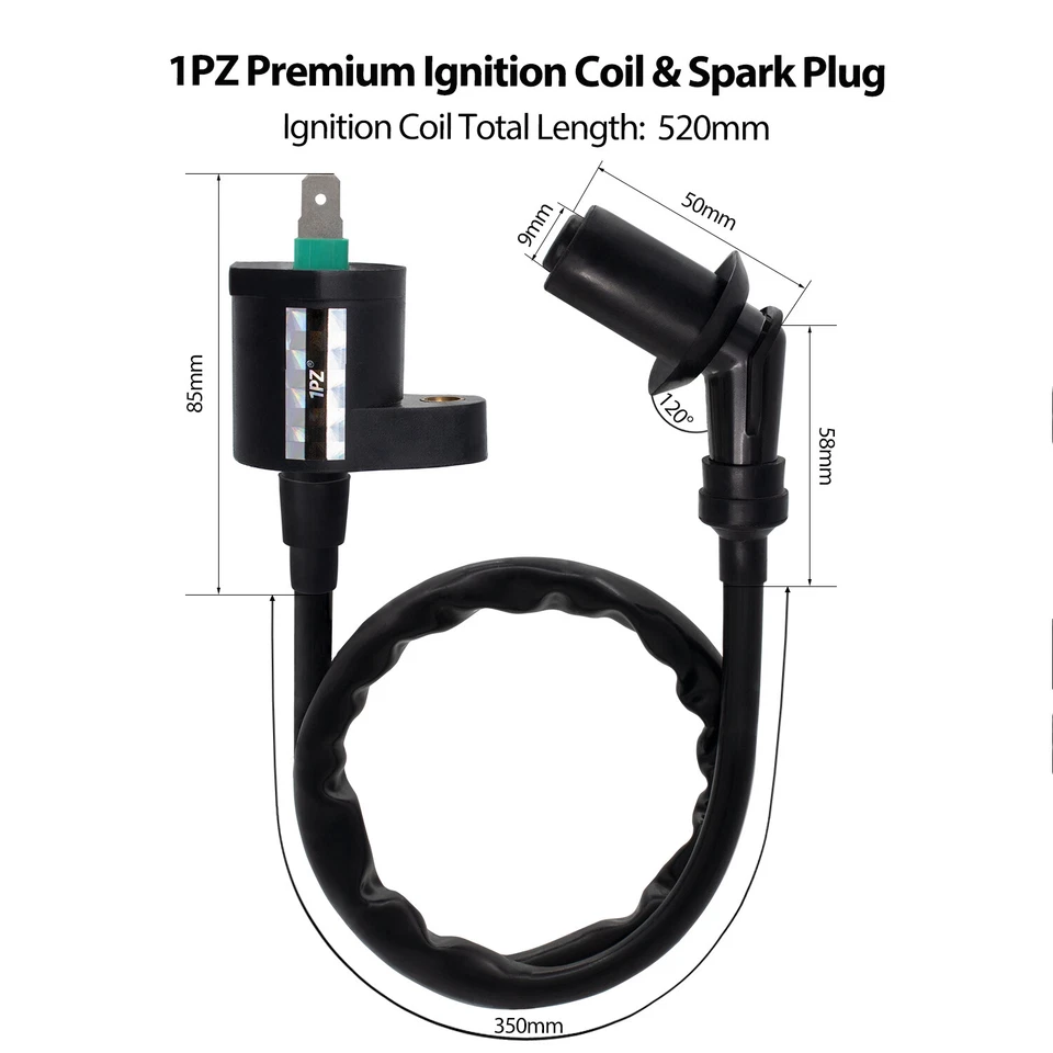 Bobina de encendido y caja CDI para Honda FourTrax 300 TRX300 TRX300FW 2x4 4x4 1988-1999 Foto 4 de 4