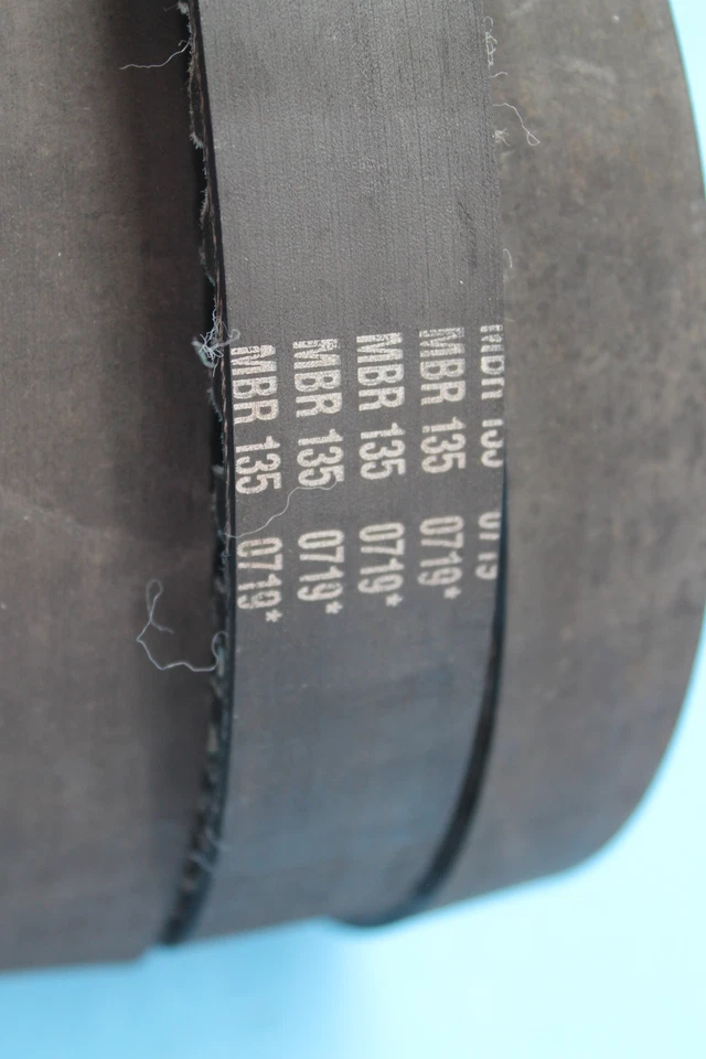 1359 04 HARLEY-DAVIDSON SOFTAIL DEUCE CORREA DE TRANSMISIÓN TRASERA CARLISLE PANTHER 135T 0719 Foto 3 de 4