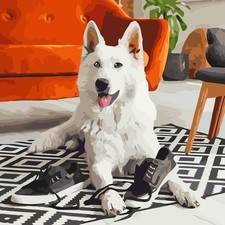 White Dog with Sneakers Paint by Numbers Kit Stylized Artistic Design